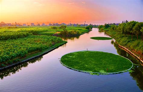 凤桥镇以“全域旅游”为目标 打造绿色生态美丽镇村 -旅游频道