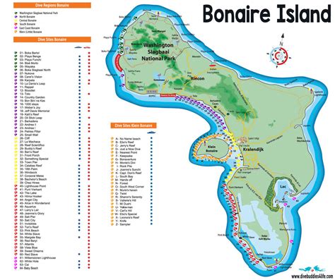 Bonaire Splash | Dive Buddies 4 Life