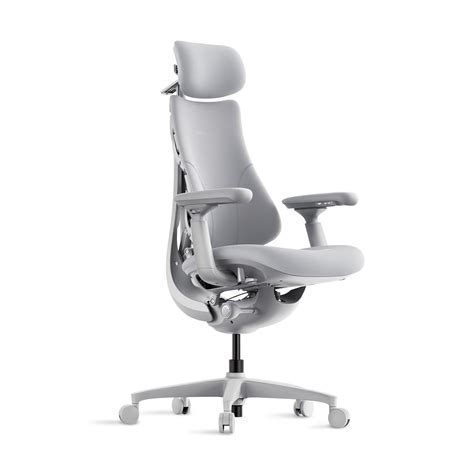 LiberNovo Dynamic Ergonomic Office Chair - Comfy Adjustable Desk Chair ...