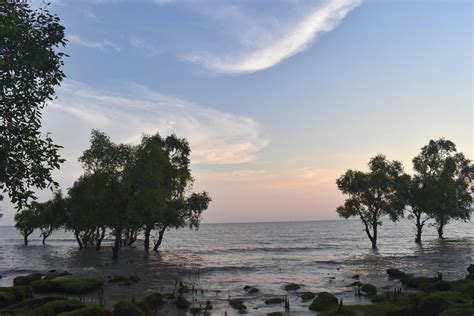 Guliyakhali Beach 1