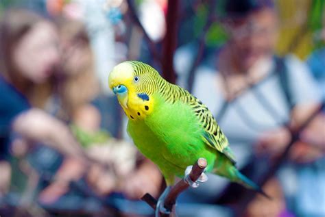 Image result for Point Defiance