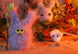 Image result for Baby Male Fluffy Bunnies