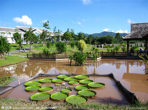 【携程攻略】西双版纳热带花卉园景点,西双版纳热带花卉园位于景洪市城区的云南省热带作物科学研究所内，隶…