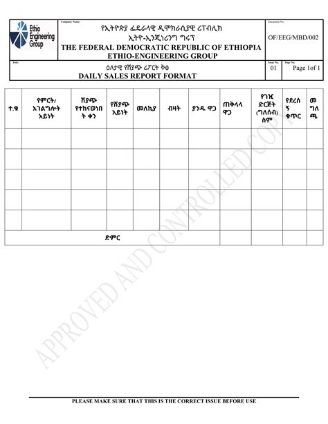 Daily Sales Report Format 的图像结果