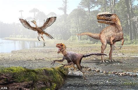 为何恐龙那么早出现，却始终没进化成“恐龙人”？专家：早有迹象|恐龙|进化|赤龙_新浪新闻