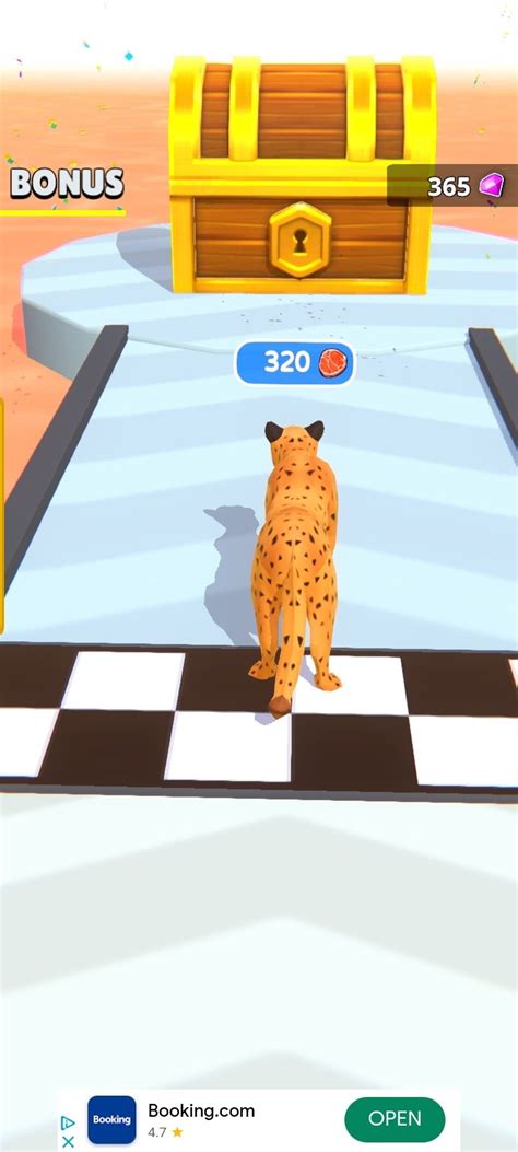 Image result for Cat Evolution Simulator