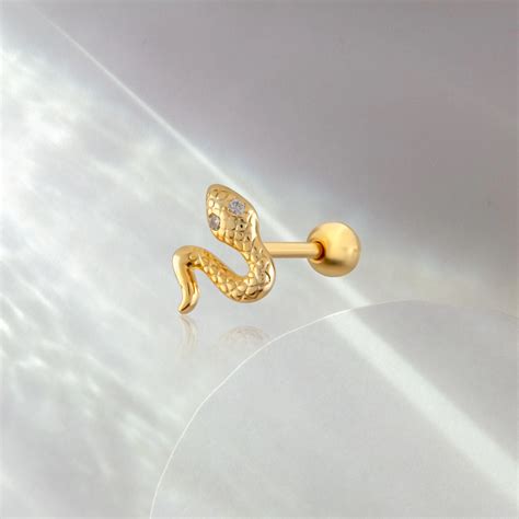 Piercing Insect 的图像结果