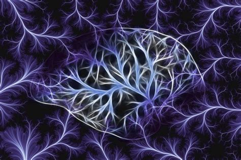 Image result for Brain Learning Process