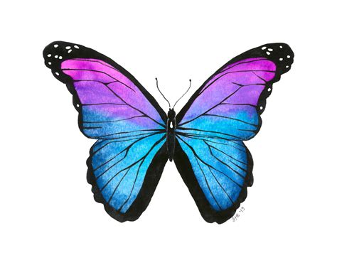 What Does A Blue And Purple Butterfly Mean at Mary Chute blog