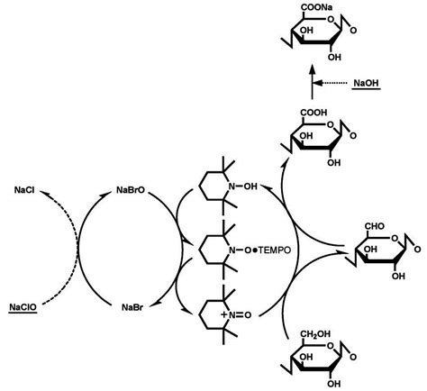 Nanofibrillated Cellulose Surface Modification: A Review