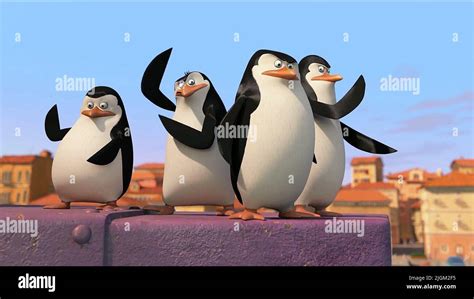 PRIVATE,RICO,SKIPPER,KOWALSKI, PENGUINS OF MADAGASCAR, 2014 Stock Photo ...