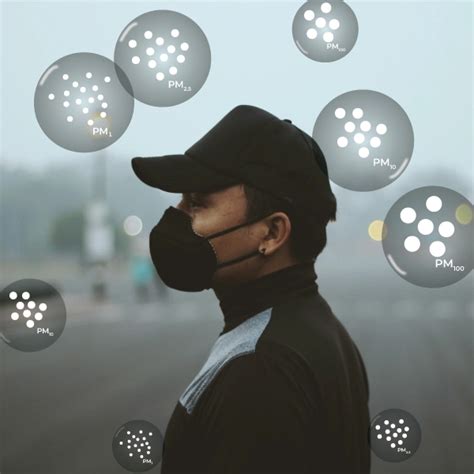 Image result for Particulates Health Effects