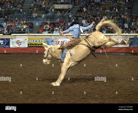 Cowboy riding bucking bronco horse during the National Finals Rodeo in Oklahoma City, Oklahoma ...