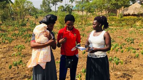 African tech startups take aim at AI 'colonialism' | Context by TRF