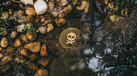 Image result for Challenge Coin Collection