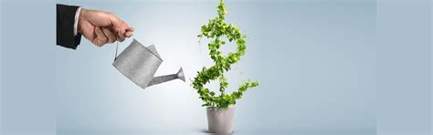 Textile Chemicals, Real Estate & Finance | Private Aviation | House of ...