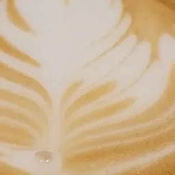 Mega Mall Gurgaon - Shopping mall - Gurugram - Haryana | Yappe.in