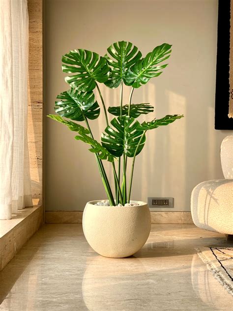 Tall Plants – Mason Home by Amarsons - Lifestyle & Decor