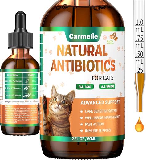 Amazon.com : Natural Antibiotics for Cats – Cat Antibiotics for Allergy Relief, Urinary Tract ...
