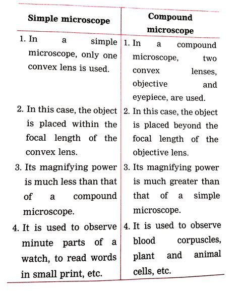 Explanation for Microscope CBSE 12 的图像结果