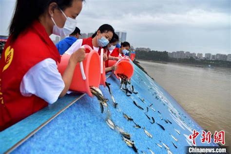 福州举行“6·6放鱼日”活动 放流鱼苗近120万尾|福州市|张斌_新浪新闻