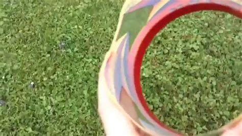 Image result for Flying Gyroscope