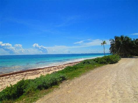 Jeep Safari Sian Kaan (Tulum) - All You Need to Know BEFORE You Go