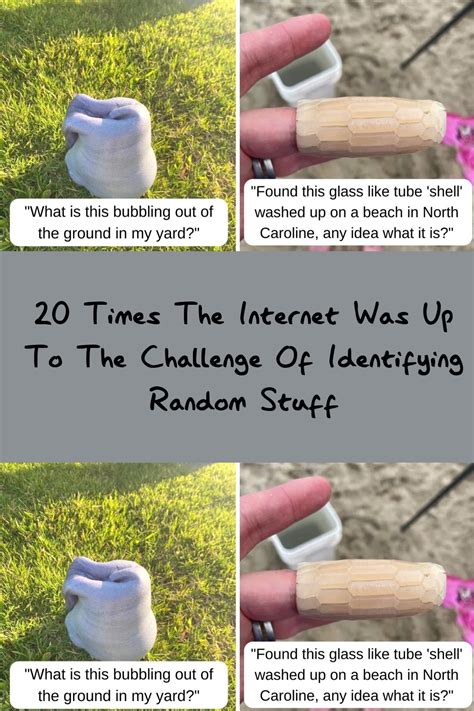 Random Things Challenge 的图像结果