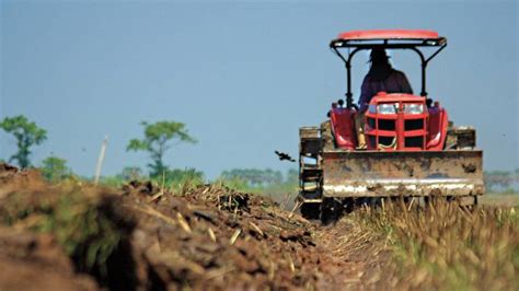 La obesidad avanza a mayor ritmo en los entornos rurales que en los ...