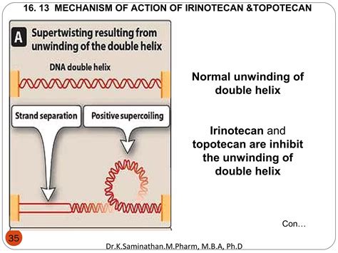10.ANTICANCER DRUGS | PPT
