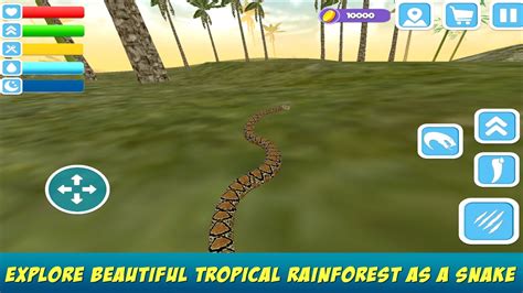 Python Snake Simulator 的图像结果