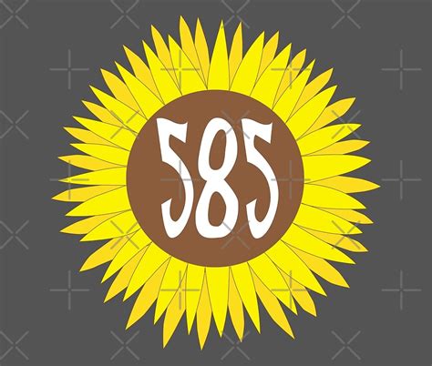 Image result for Area Code 585 History