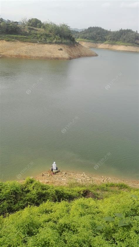 水库放干了水，村庄遗址重见天日，近距离欣赏红杉林 - 知乎