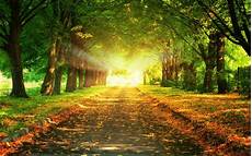 Hd Autumn Background by Desktop Hd Autumn Wallpapers Hdimagesplus Hd Autumn Background