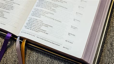 Image result for Eliab Script