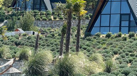 EVA LAVANDA RESORT (Kulculer) - Hotel Reviews, Photos, Rate Comparison ...
