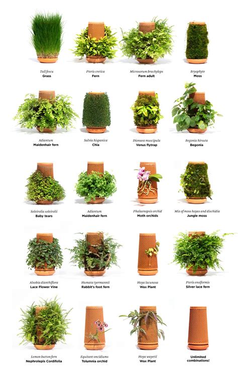 Terraplanter Hidroponik Saksı - SumoGarden™