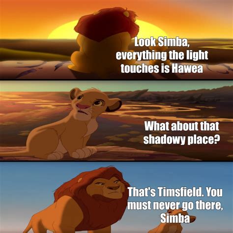 Image result for Simba Meme
