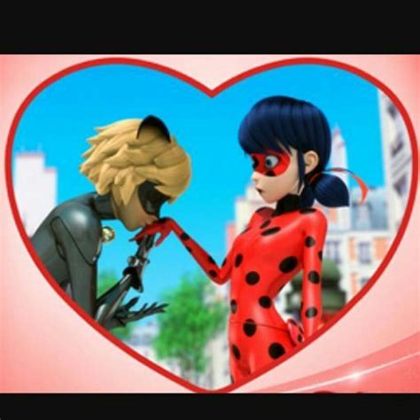 Ladybug Amor 的图像结果