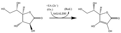 Improved Enzymatic Assay and Inhibition Analysis of Redox ...