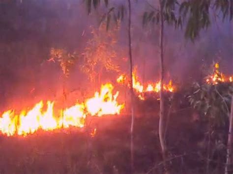 Una Khapat Forest Fire Controlled by Fire Team & Locals | Trees Damaged