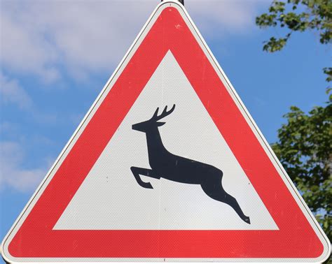 Image result for Traffic Signs High Resolution Images