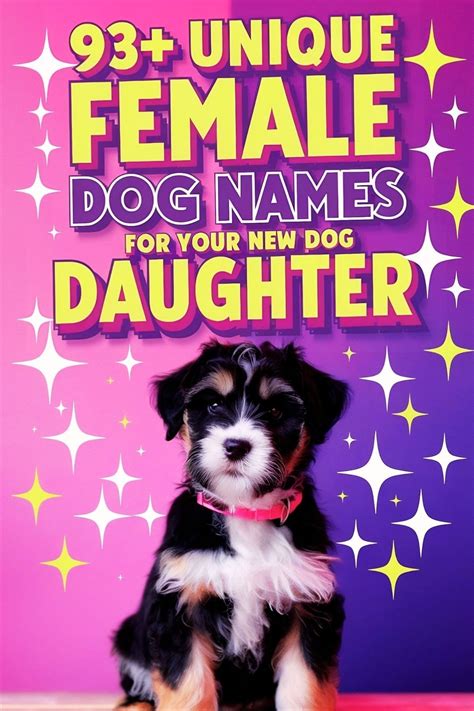 Unique female dog names empowering and uncommon ideas for your pup ...
