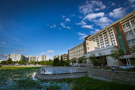 2024新疆大学游玩攻略,校园风景很美，有很大一片红...【去哪儿攻略】