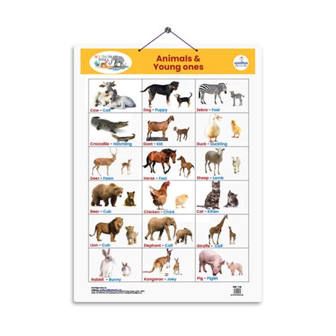 Animals & their Young Ones – Ayodhya Books