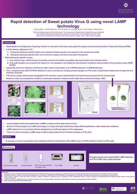 Lamp Technology 的图像结果