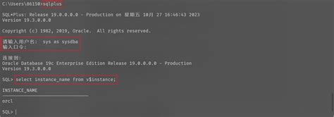 Oracle Database 19C Tutorial 的图像结果