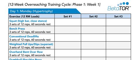 Free 12 Week Workout Plan 的图像结果