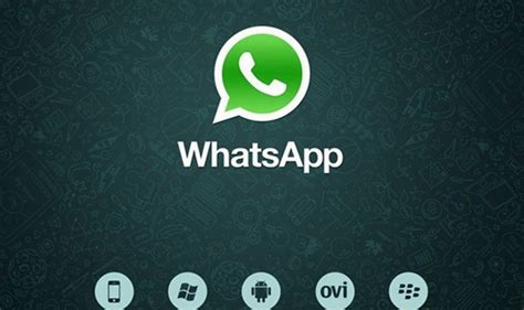 WhatsApp官网下载_WhatsApp最新官网下载_18183软件下载