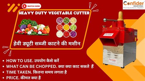 Vegetable Cutter Review 的图像结果